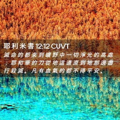 Picture 02 - 耶 利 米 書 12:12 CUVT - 滅 命 的 都 來 到 曠 野 中 一 切 淨 - Bible Verse Picture