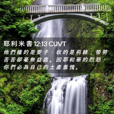 Picture 02 - 耶 利 米 書 12:13 CUVT - 他 們 種 的 是 麥 子 ， 收 的 是 荊 - Bible Verse Picture