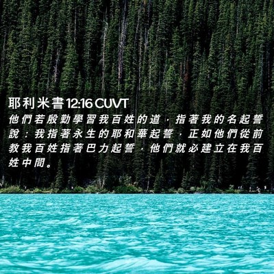Picture 02 - 耶 利 米 書 12:16 CUVT - 他 們 若 殷 勤 學 習 我 百 姓 的 道 - Bible Verse Picture