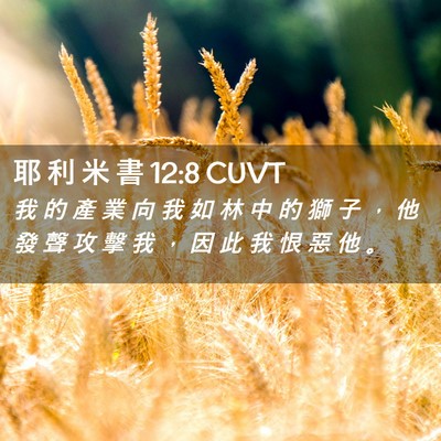Picture 02 - 耶 利 米 書 12:8 CUVT - 我 的 產 業 向 我 如 林 中 的 獅 子 - Bible Verse Picture