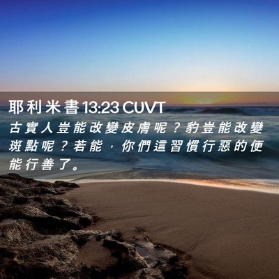 Picture 02 - 耶 利 米 書 13:23 CUVT - 古 實 人 豈 能 改 變 皮 膚 呢 ？ 豹 - Bible Verse Picture