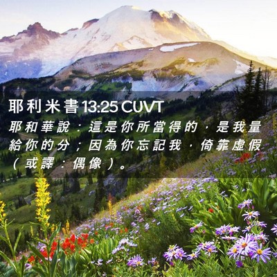 Picture 02 - 耶 利 米 書 13:25 CUVT - 耶 和 華 說 ： 這 是 你 所 當 得 的 - Bible Verse Picture