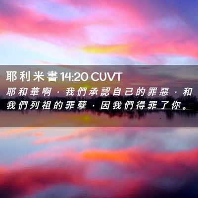 Picture 02 - 耶 利 米 書 14:20 CUVT - 耶 和 華 啊 ， 我 們 承 認 自 己 的 - Bible Verse Picture