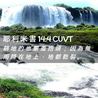 Picture 02 - 耶 利 米 書 14:4 CUVT - 耕 地 的 也 蒙 羞 抱 頭 ； 因 為 無 - Bible Verse Picture