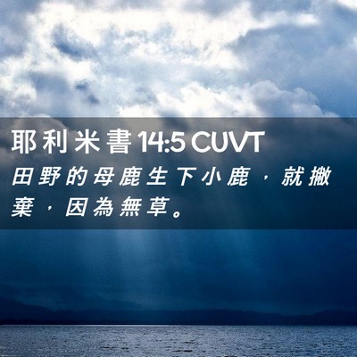 Picture 02 - 耶 利 米 書 14:5 CUVT - 田 野 的 母 鹿 生 下 小 鹿 ， 就 撇 - Bible Verse Picture