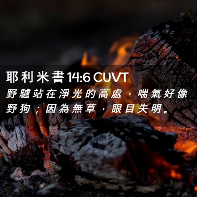 Picture 02 - 耶 利 米 書 14:6 CUVT - 野 驢 站 在 淨 光 的 高 處 ， 喘 氣 - Bible Verse Picture