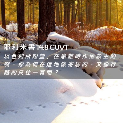 Picture 02 - 耶 利 米 書 14:8 CUVT - 以 色 列 所 盼 望 、 在 患 難 時 作 - Bible Verse Picture