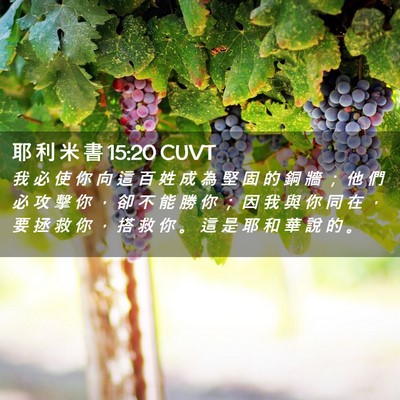 Picture 02 - 耶 利 米 書 15:20 CUVT - 我 必 使 你 向 這 百 姓 成 為 堅 固 - Bible Verse Picture