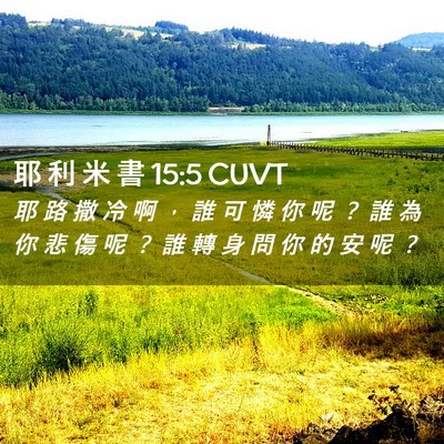 Picture 02 - 耶 利 米 書 15:5 CUVT - 耶 路 撒 冷 啊 ， 誰 可 憐 你 呢 ？ - Bible Verse Picture