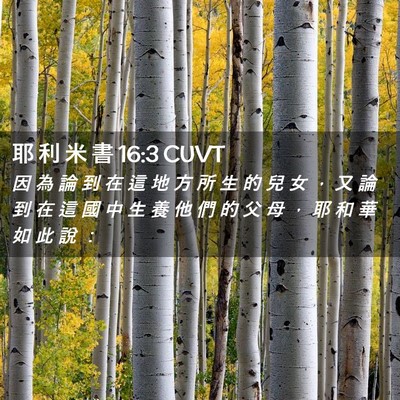 Picture 02 - 耶 利 米 書 16:3 CUVT - 因 為 論 到 在 這 地 方 所 生 的 兒 - Bible Verse Picture