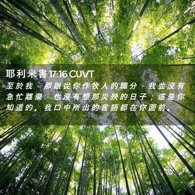 Picture 02 - 耶 利 米 書 17:16 CUVT - 至 於 我 ， 那 跟 從 你 作 牧 人 的 - Bible Verse Picture