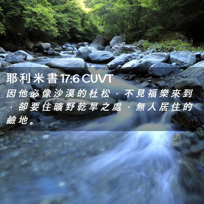 Picture 02 - 耶 利 米 書 17:6 CUVT - 因 他 必 像 沙 漠 的 杜 松 ， 不 見 - Bible Verse Picture