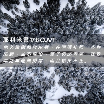 Picture 02 - 耶 利 米 書 17:8 CUVT - 他 必 像 樹 栽 於 水 旁 ， 在 河 邊 - Bible Verse Picture