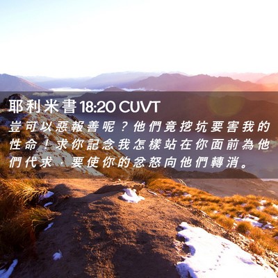 Picture 02 - 耶 利 米 書 18:20 CUVT - 豈 可 以 惡 報 善 呢 ？ 他 們 竟 挖 - Bible Verse Picture