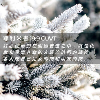 Picture 02 - 耶 利 米 書 19:9 CUVT - 我 必 使 他 們 在 圍 困 窘 迫 之 中 - Bible Verse Picture