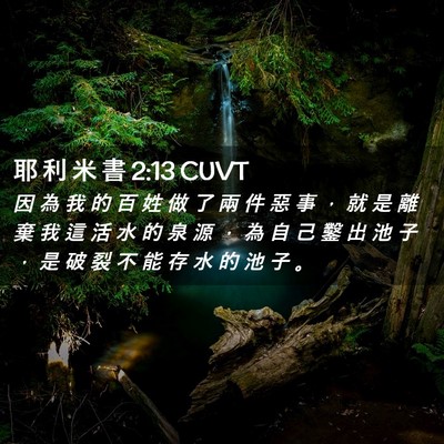 Picture 02 - 耶 利 米 書 2:13 CUVT - 因 為 我 的 百 姓 做 了 兩 件 惡 事 - Bible Verse Picture