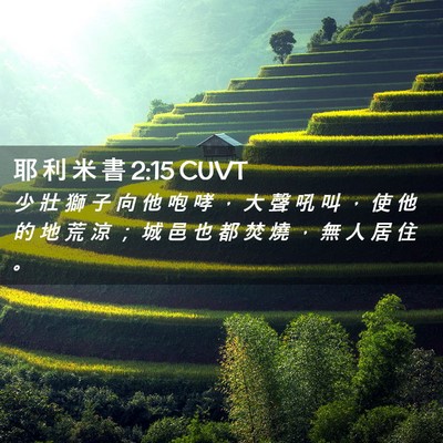 Picture 02 - 耶 利 米 書 2:15 CUVT - 少 壯 獅 子 向 他 咆 哮 ， 大 聲 吼 - Bible Verse Picture