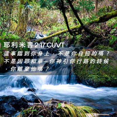 Picture 02 - 耶 利 米 書 2:17 CUVT - 這 事 臨 到 你 身 上 ， 不 是 你 自 - Bible Verse Picture