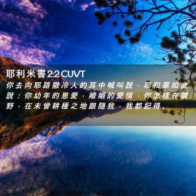 Picture 02 - 耶 利 米 書 2:2 CUVT - 你 去 向 耶 路 撒 冷 人 的 耳 中 喊 - Bible Verse Picture