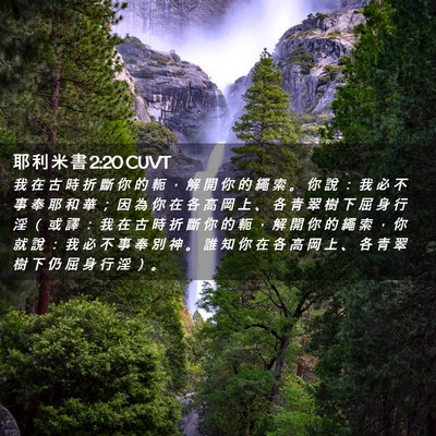 Picture 02 - 耶 利 米 書 2:20 CUVT - 我 在 古 時 折 斷 你 的 軛 ， 解 開 - Bible Verse Picture