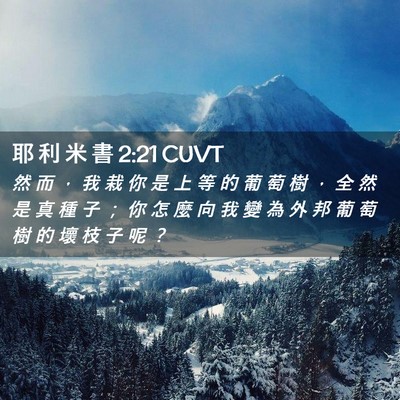 Picture 02 - 耶 利 米 書 2:21 CUVT - 然 而 ， 我 栽 你 是 上 等 的 葡 萄 - Bible Verse Picture