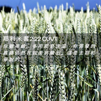 Picture 02 - 耶 利 米 書 2:22 CUVT - 你 雖 用 鹼 、 多 用 肥 皂 洗 濯 ， - Bible Verse Picture