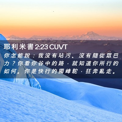Picture 02 - 耶 利 米 書 2:23 CUVT - 你 怎 能 說 ： 我 沒 有 玷 污 、 沒 - Bible Verse Picture