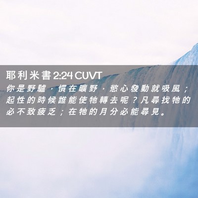 Picture 02 - 耶 利 米 書 2:24 CUVT - 你 是 野 驢 ， 慣 在 曠 野 ， 慾 心 - Bible Verse Picture