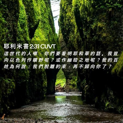 Picture 02 - 耶 利 米 書 2:31 CUVT - 這 世 代 的 人 哪 ， 你 們 要 看 明 - Bible Verse Picture