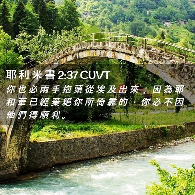 Picture 02 - 耶 利 米 書 2:37 CUVT - 你 也 必 兩 手 抱 頭 從 埃 及 出 來 - Bible Verse Picture