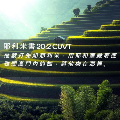 Picture 02 - 耶 利 米 書 20:2 CUVT - 他 就 打 先 知 耶 利 米 ， 用 耶 和 - Bible Verse Picture