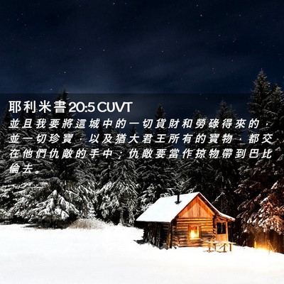 Picture 02 - 耶 利 米 書 20:5 CUVT - 並 且 我 要 將 這 城 中 的 一 切 貨 - Bible Verse Picture