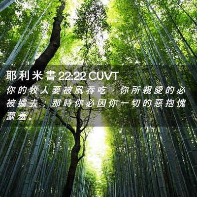 Picture 02 - 耶 利 米 書 22:22 CUVT - 你 的 牧 人 要 被 風 吞 吃 ， 你 所 - Bible Verse Picture