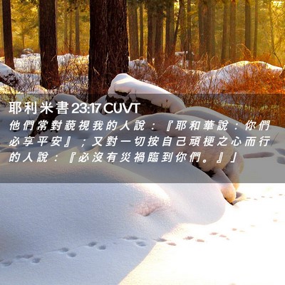 Picture 02 - 耶 利 米 書 23:17 CUVT - 他 們 常 對 藐 視 我 的 人 說 ： 『 - Bible Verse Picture
