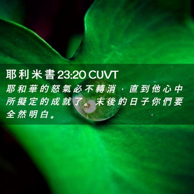 Picture 02 - 耶 利 米 書 23:20 CUVT - 耶 和 華 的 怒 氣 必 不 轉 消 ， 直 - Bible Verse Picture