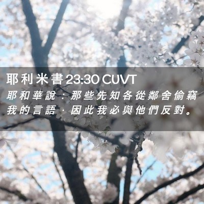 Picture 02 - 耶 利 米 書 23:30 CUVT - 耶 和 華 說 ： 那 些 先 知 各 從 鄰 - Bible Verse Picture