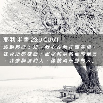 Picture 02 - 耶 利 米 書 23:9 CUVT - 論 到 那 些 先 知 ， 我 心 在 我 裡 - Bible Verse Picture