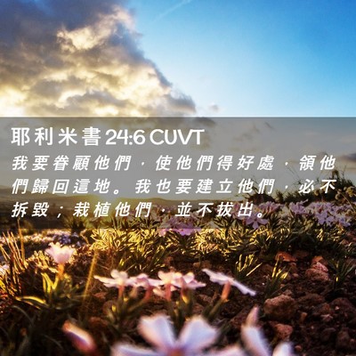 Picture 02 - 耶 利 米 書 24:6 CUVT - 我 要 眷 顧 他 們 ， 使 他 們 得 好 - Bible Verse Picture