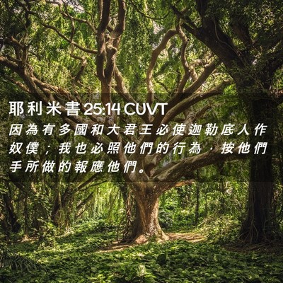 Picture 02 - 耶 利 米 書 25:14 CUVT - 因 為 有 多 國 和 大 君 王 必 使 迦 - Bible Verse Picture