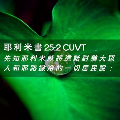 Picture 02 - 耶 利 米 書 25:2 CUVT - 先 知 耶 利 米 就 將 這 話 對 猶 大 - Bible Verse Picture