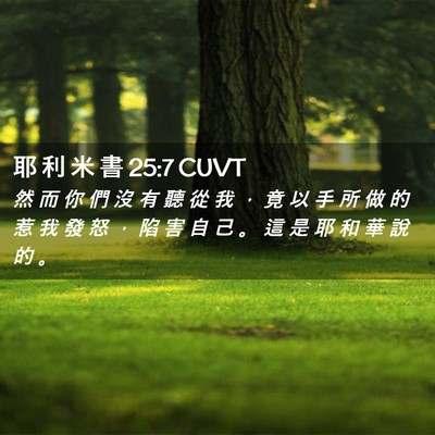 Picture 02 - 耶 利 米 書 25:7 CUVT - 然 而 你 們 沒 有 聽 從 我 ， 竟 以 - Bible Verse Picture