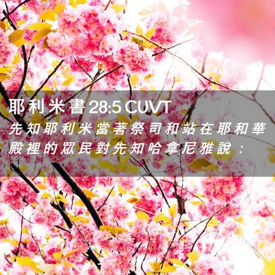 Picture 02 - 耶 利 米 書 28:5 CUVT - 先 知 耶 利 米 當 著 祭 司 和 站 在 - Bible Verse Picture