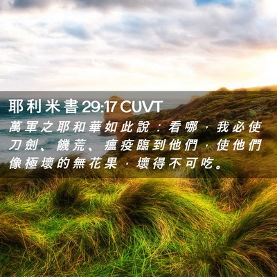 Picture 02 - 耶 利 米 書 29:17 CUVT - 萬 軍 之 耶 和 華 如 此 說 ： 看 哪 - Bible Verse Picture