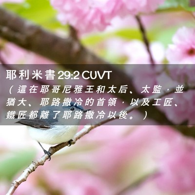 Picture 02 - 耶 利 米 書 29:2 CUVT - （ 這 在 耶 哥 尼 雅 王 和 太 后 、 - Bible Verse Picture