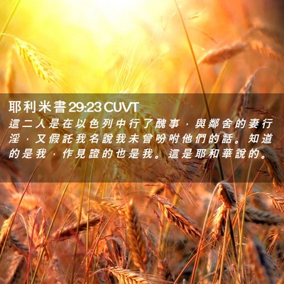 Picture 02 - 耶 利 米 書 29:23 CUVT - 這 二 人 是 在 以 色 列 中 行 了 醜 - Bible Verse Picture