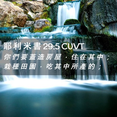 Picture 02 - 耶 利 米 書 29:5 CUVT - 你 們 要 蓋 造 房 屋 ， 住 在 其 中 - Bible Verse Picture