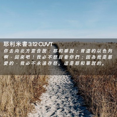 Picture 02 - 耶 利 米 書 3:12 CUVT - 你 去 向 北 方 宣 告 說 ： 耶 和 華 - Bible Verse Picture