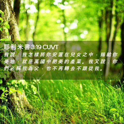 Picture 02 - 耶 利 米 書 3:19 CUVT - 我 說 ： 我 怎 樣 將 你 安 置 在 兒 - Bible Verse Picture