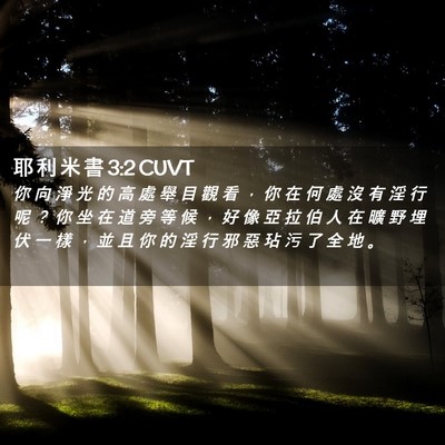 Picture 02 - 耶 利 米 書 3:2 CUVT - 你 向 淨 光 的 高 處 舉 目 觀 看 ， - Bible Verse Picture