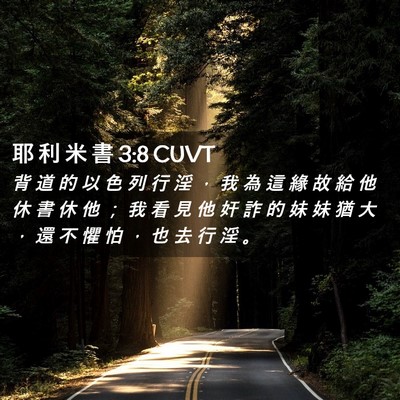 Picture 02 - 耶 利 米 書 3:8 CUVT - 背 道 的 以 色 列 行 淫 ， 我 為 這 - Bible Verse Picture